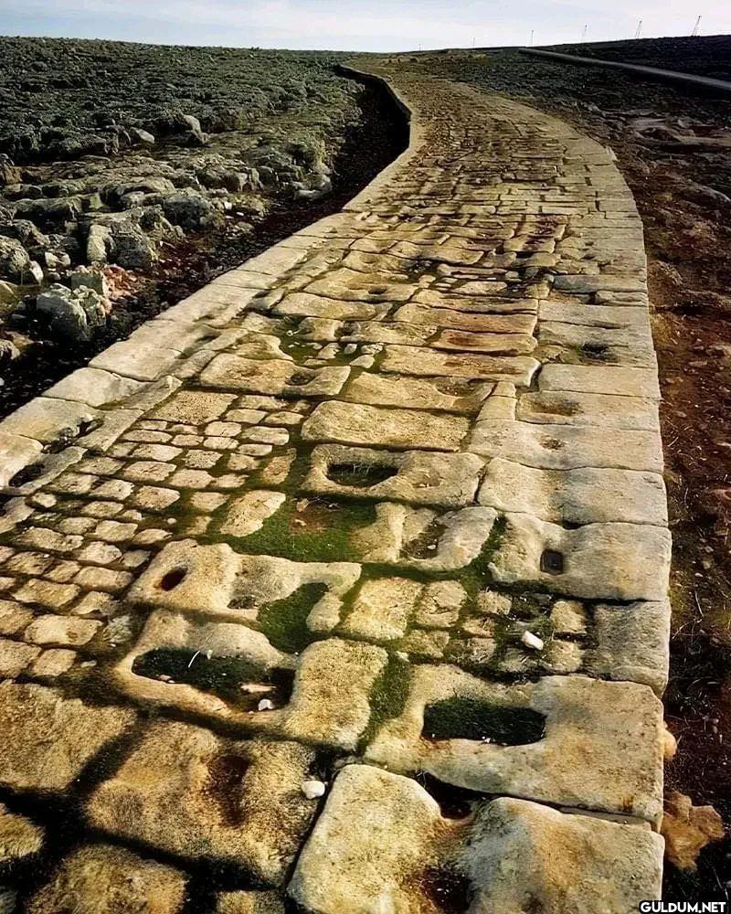 Antakya’dan Halep’e uzanan...