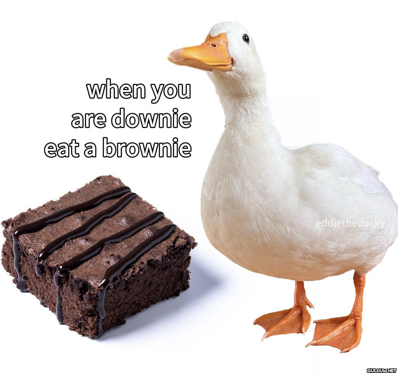 ︎ ︎ ︎ ︎ ︎ ︎ ︎ ︎ ︎ ︎ ︎ ︎ ︎...