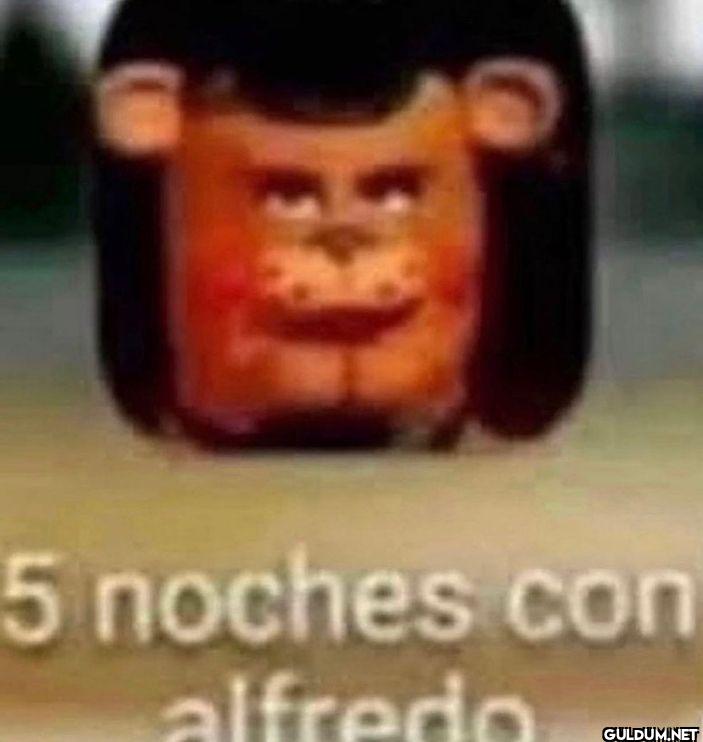 5 noches con alfredo