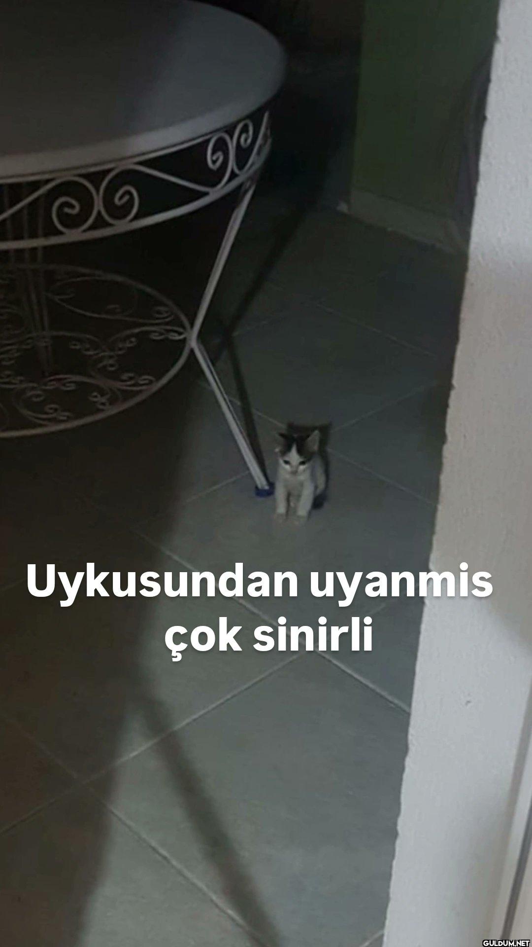 outh 59 ୭୭ Uykusundan...
