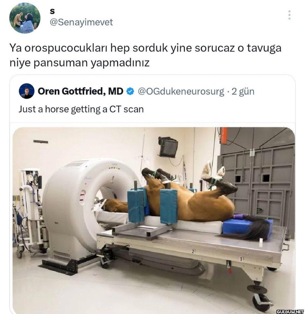 Ya orospucocukları hep...