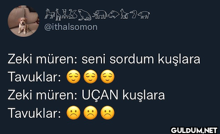 Zeki müren: seni sordum...
