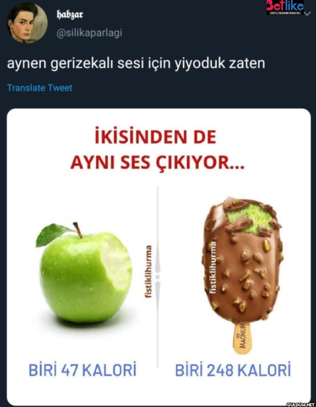 aynen gerizekalı sesi için...