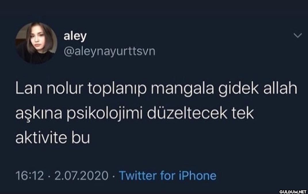 Lan nolur toplanıp mangala...