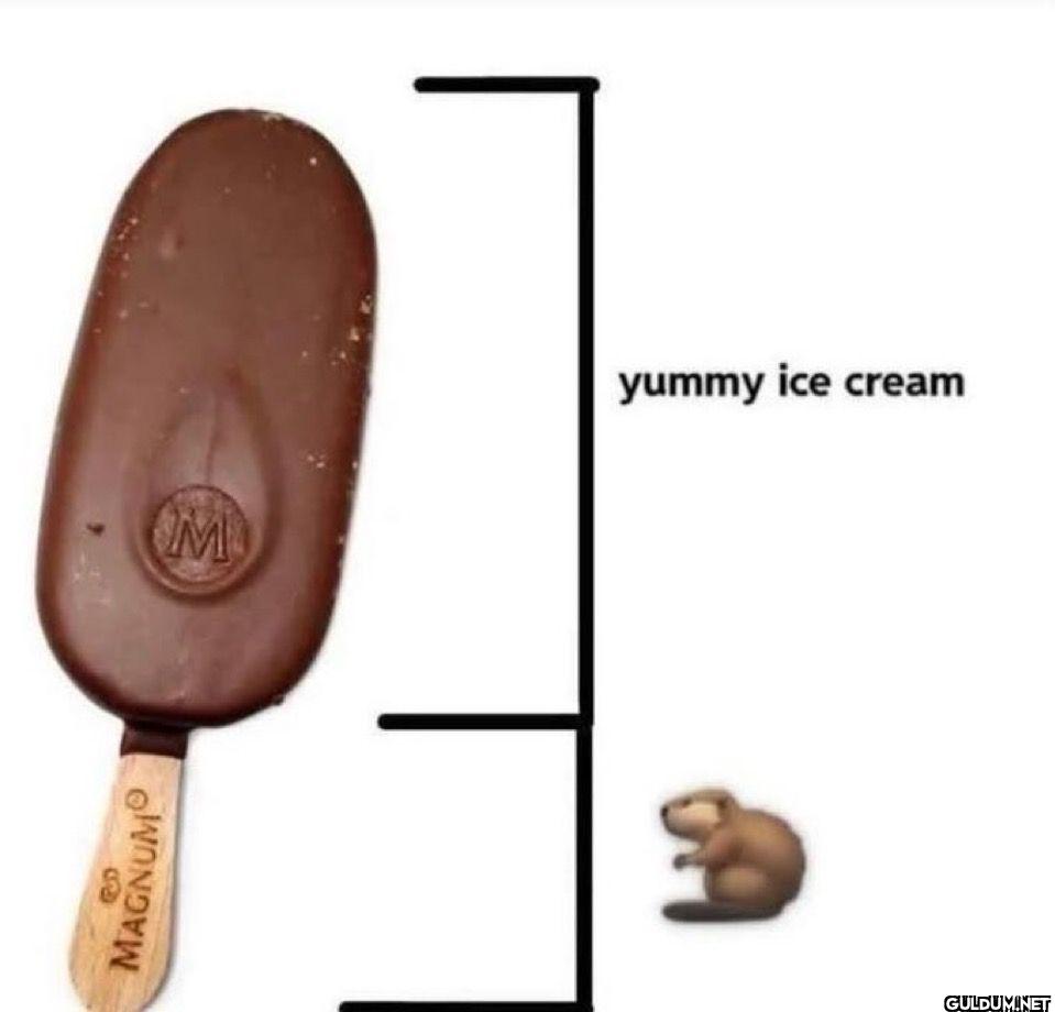 yummy ice cream MAGNUM
