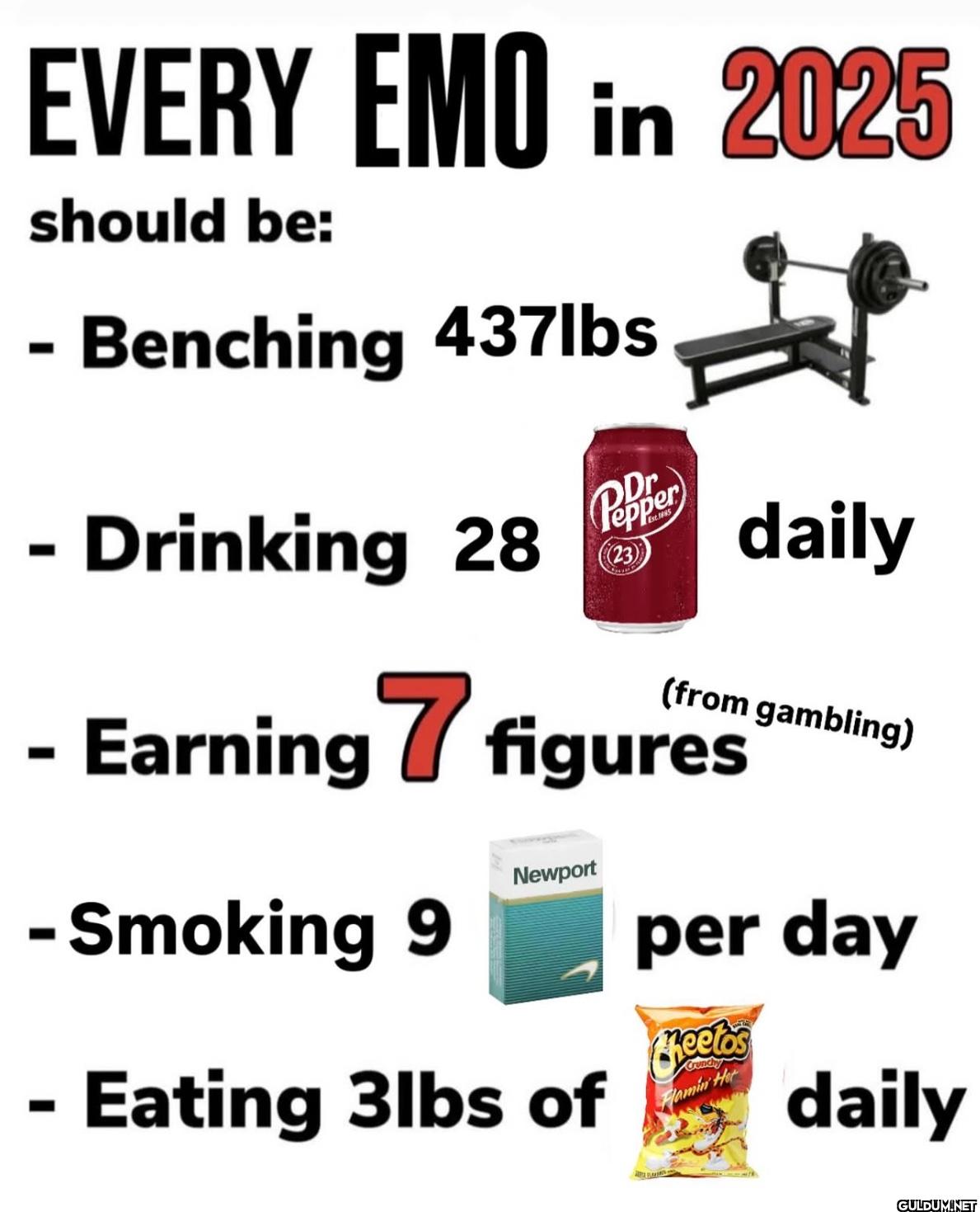 EVERY EMO in 2025 should...