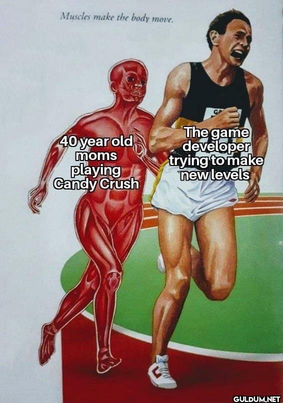 Muscles make the body...