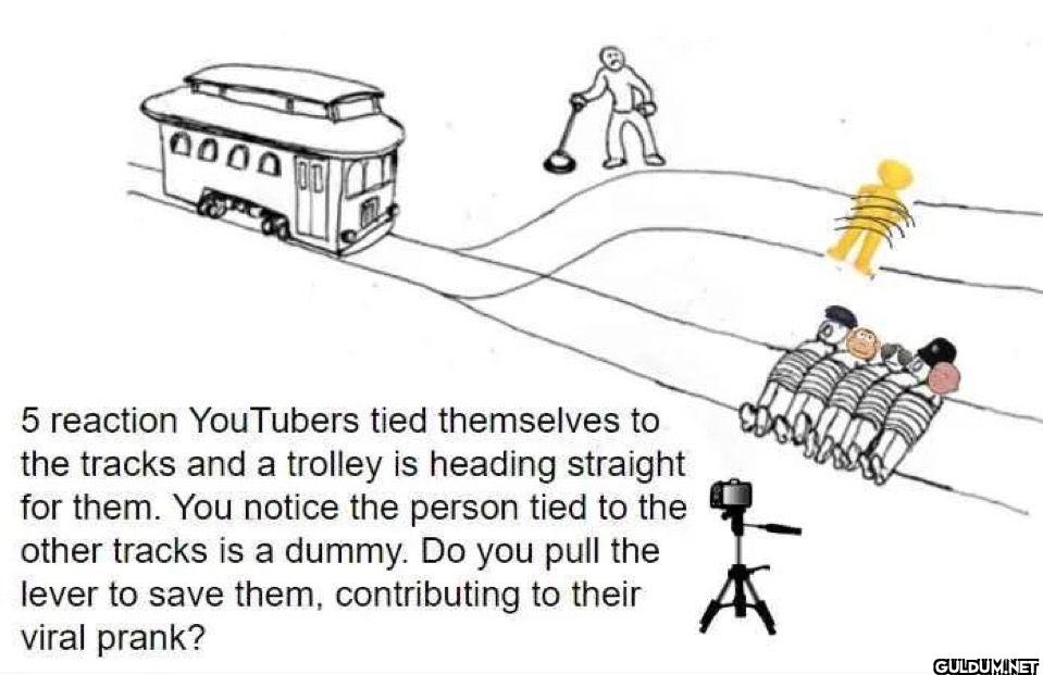 5 reaction YouTubers tied...