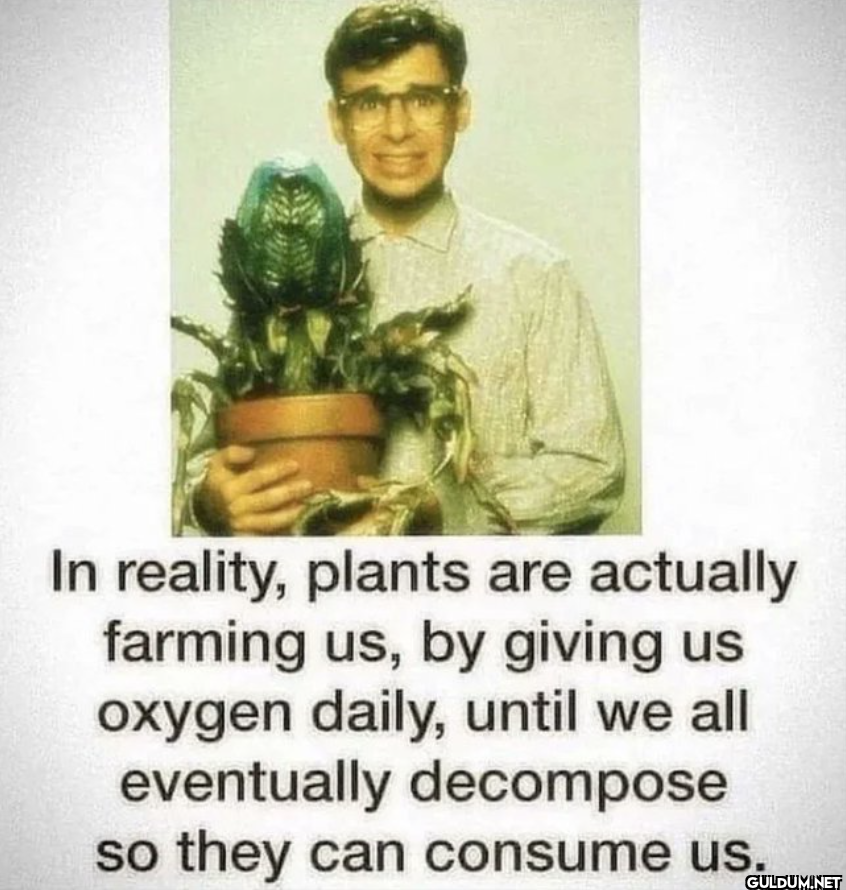 Wild.    In reality,...