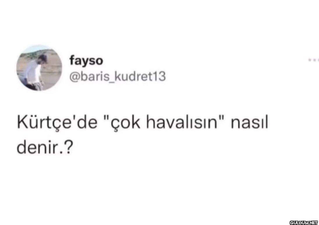 Kürtçe'de "çok havalısın"...
