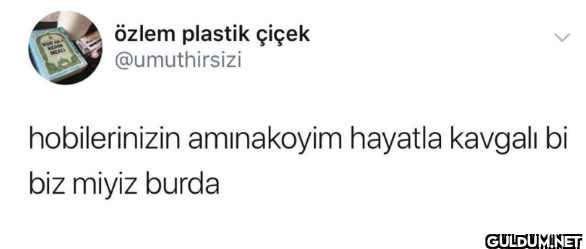 hobilerinizin amınakoyim...
