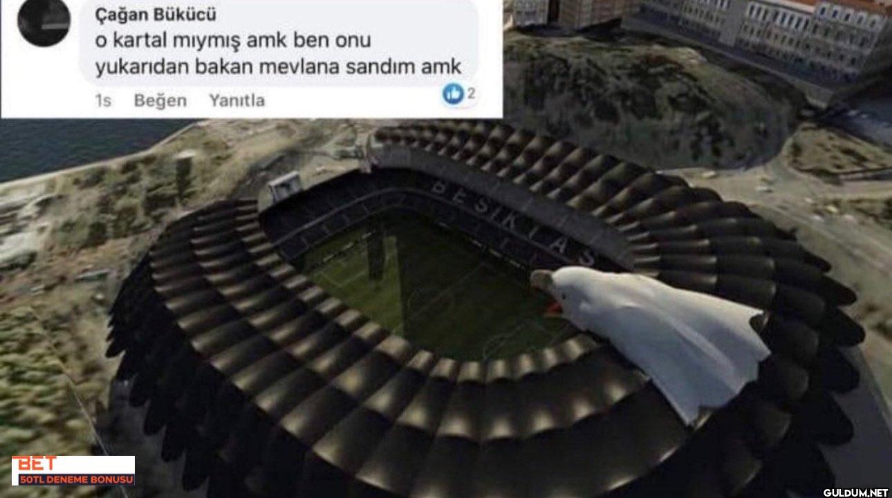 İlk bakışta kartal...