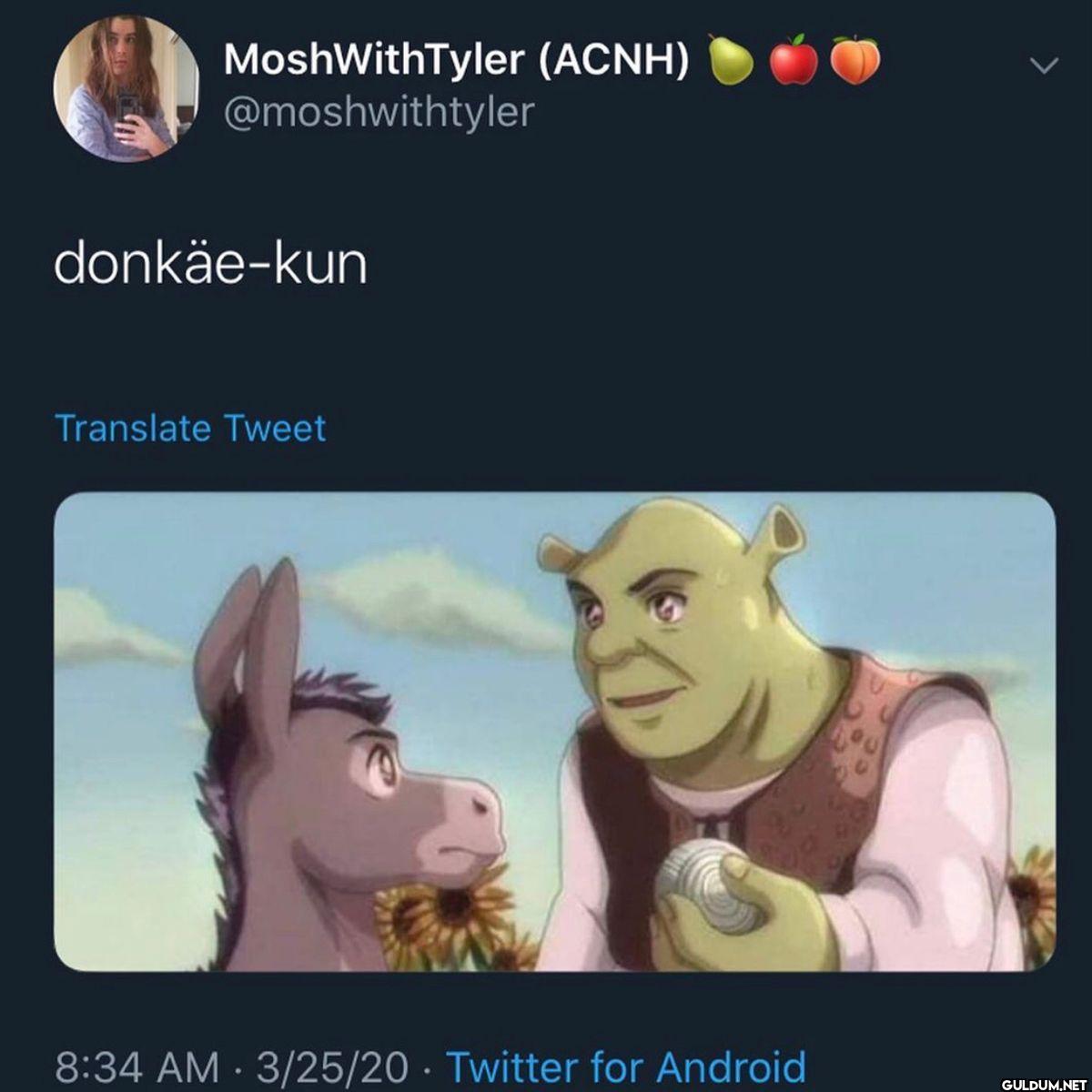 donkäe-kun Translate 3 25 20