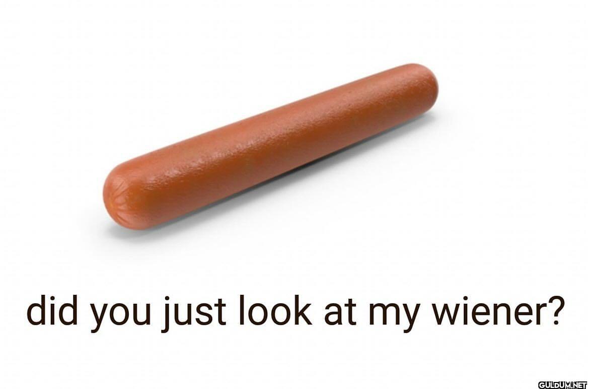 did you just look at my wiener?