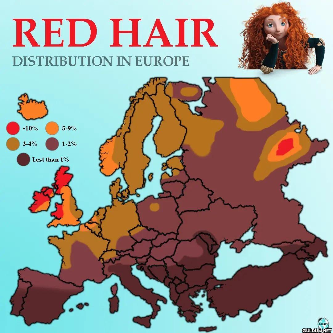 Red Hair Distribution in...