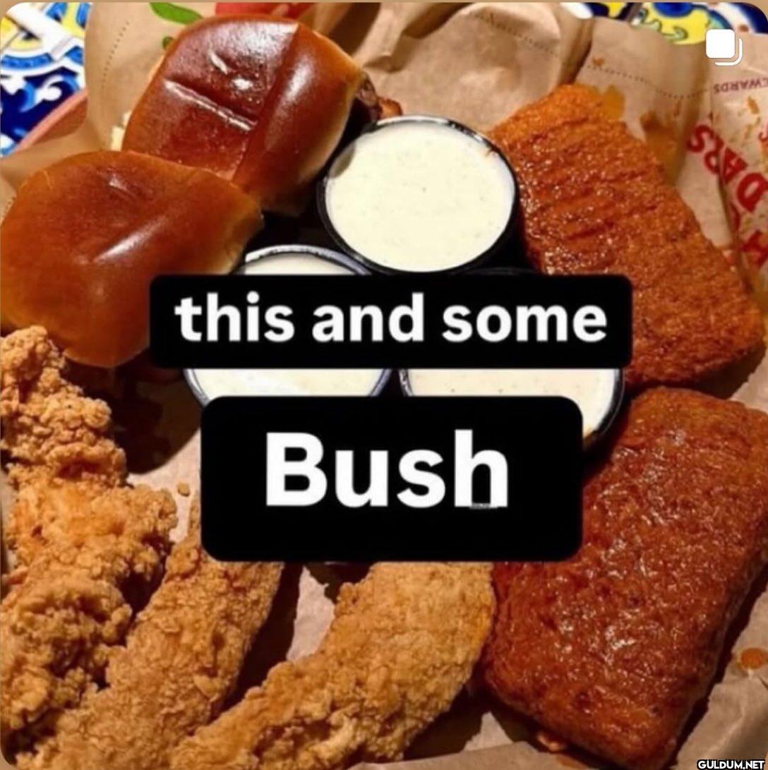 S this and some Bush