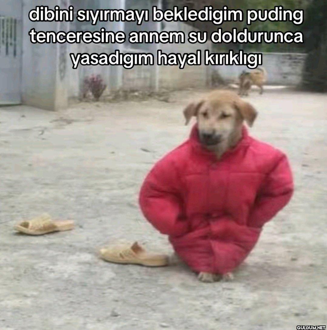 dibini sıyırmayı...