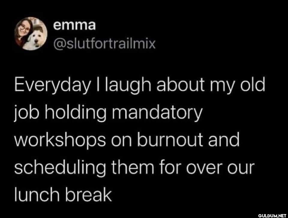 Everyday I laugh about my...
