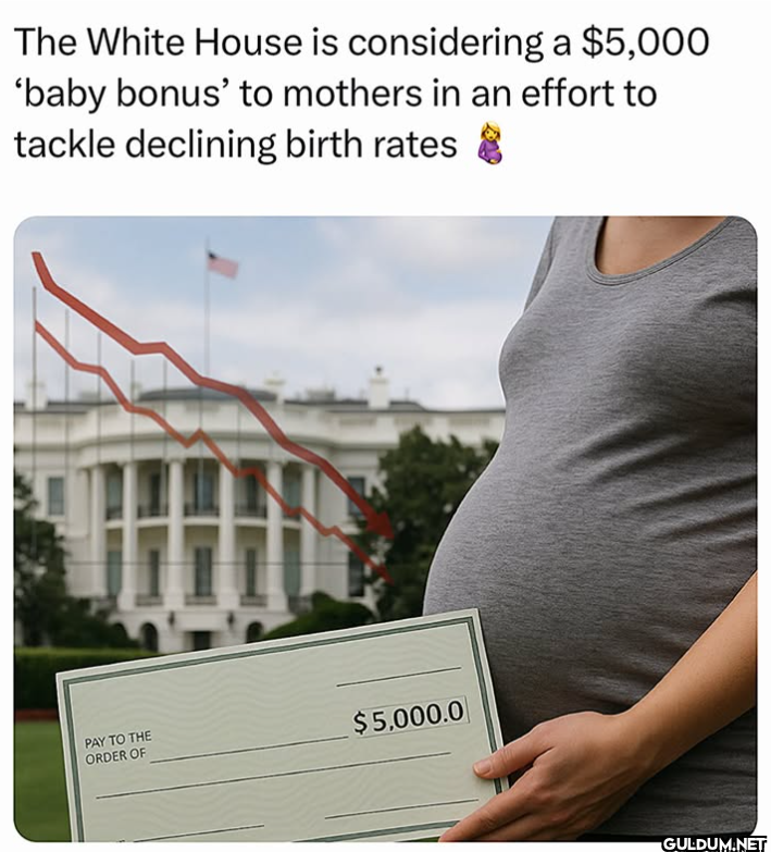 The White House is...