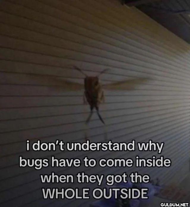 i don't understand why...