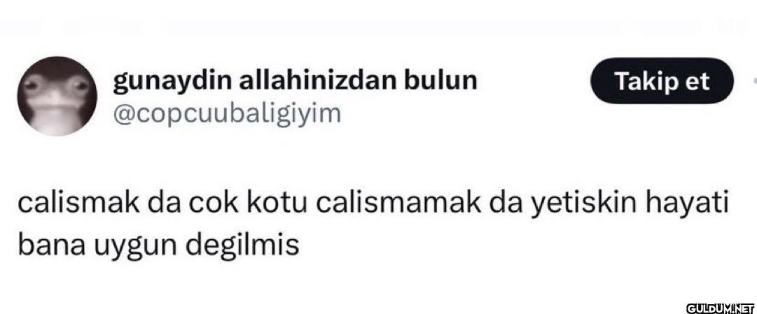 gunaydin allahinizdan...