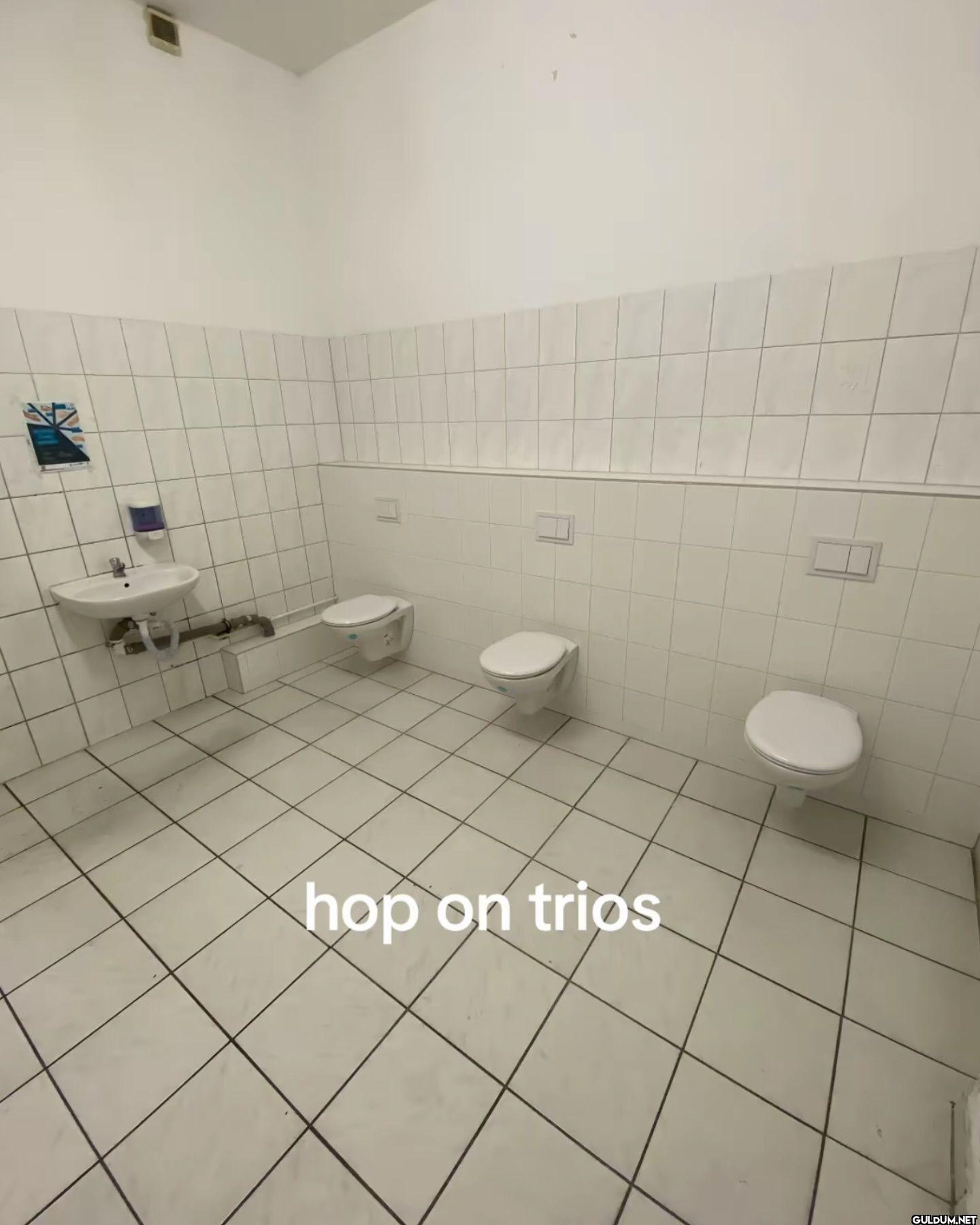 hop on trios