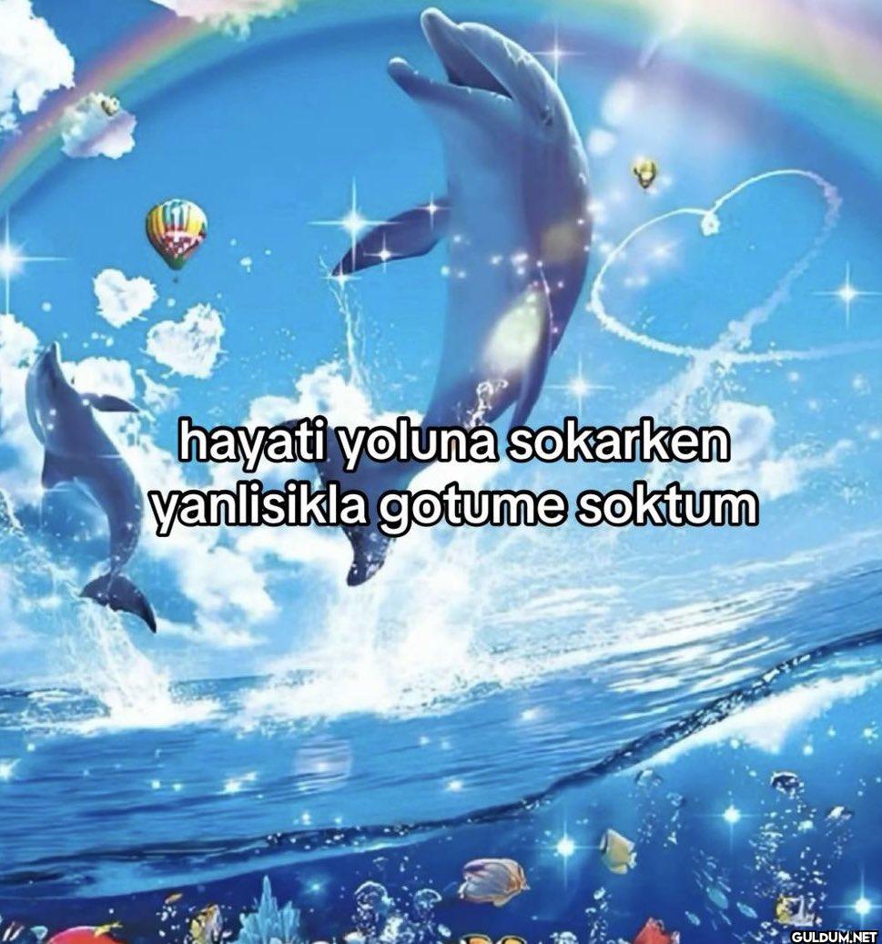 hayati yoluna sokarken...
