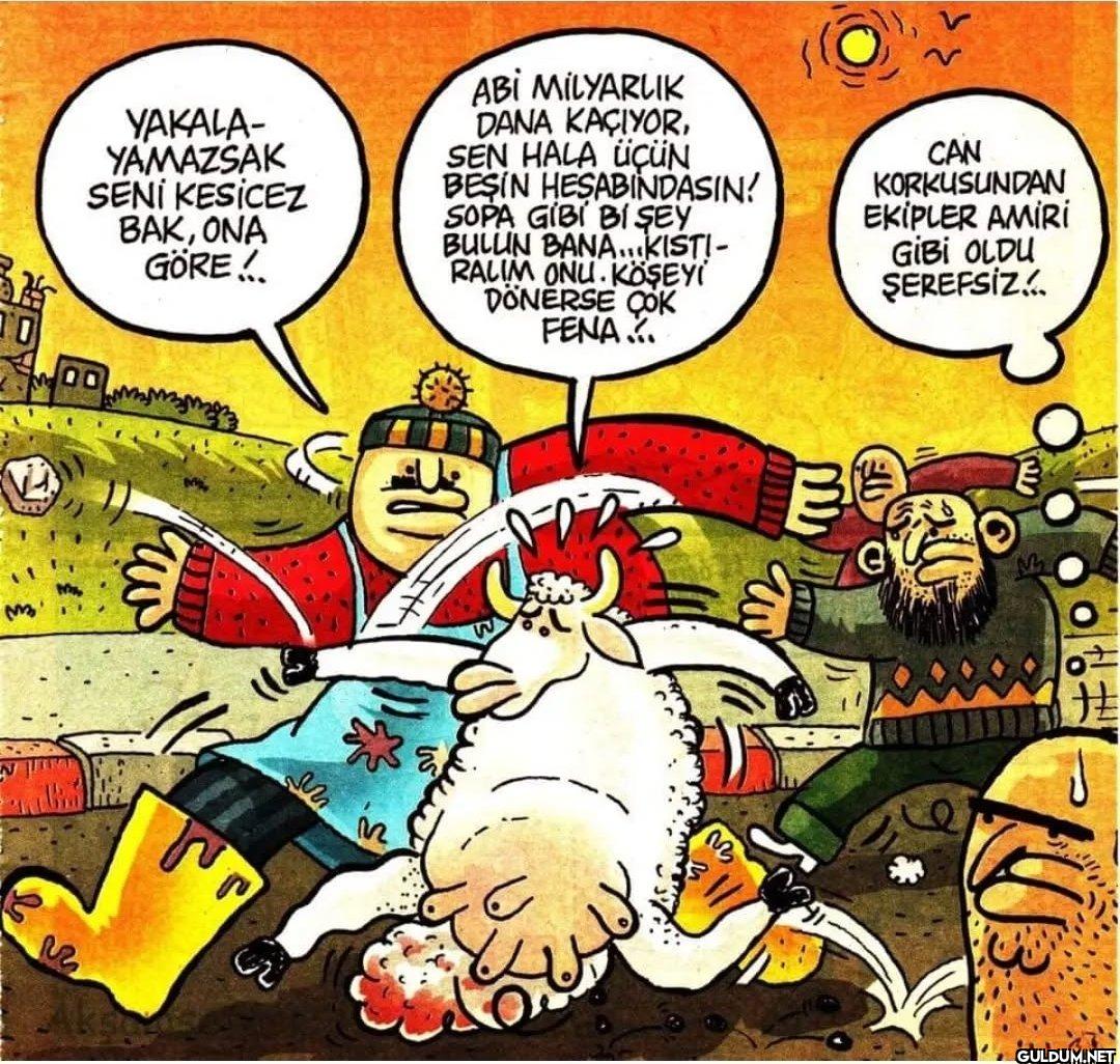 Kurban bayramınız kutlu...