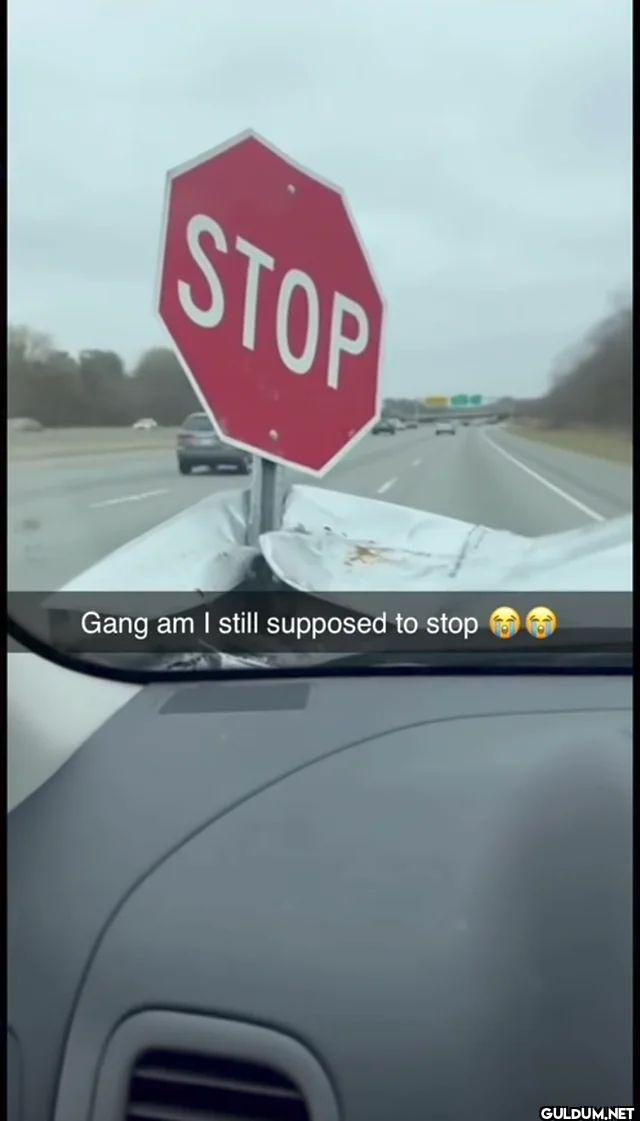 STOP Gang am I still...