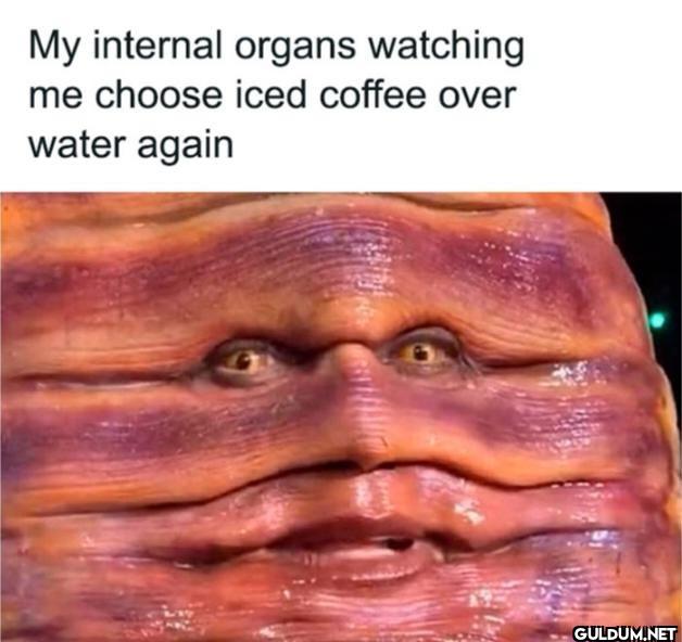 My internal organs...