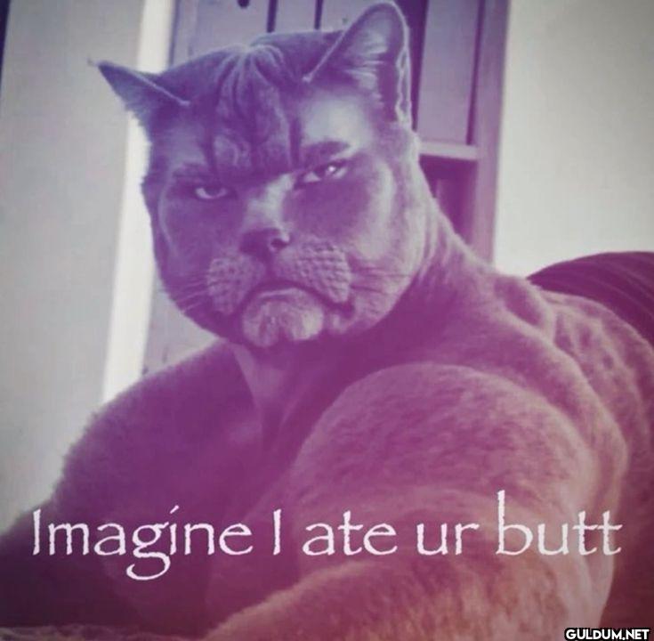 Imagine I ate ur butt