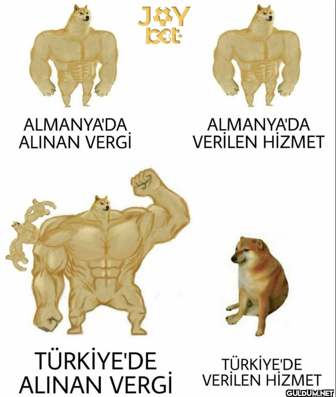 ALMANYA'DA ALINAN VERGİ...
