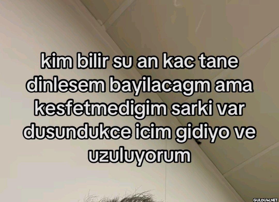 kim bilir su an kac tane...
