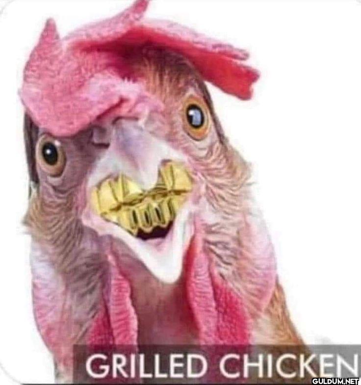 ︎ ︎ ︎ ︎    GRILLED CHICKEN