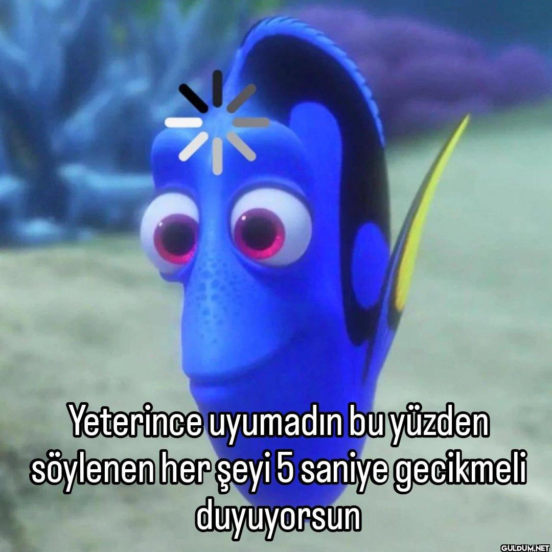 Yeterince uyumadın bu...