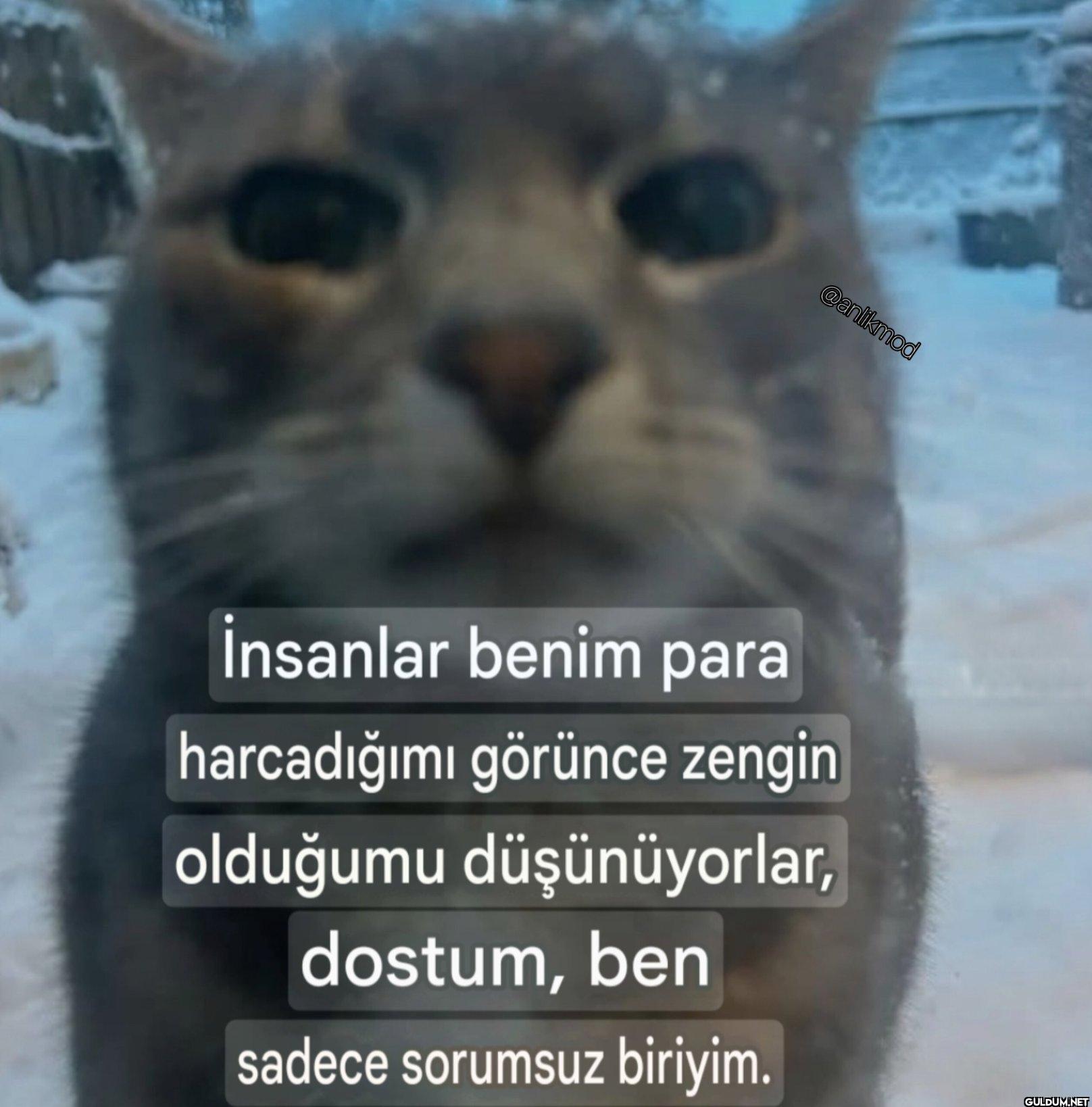 İnsanlar benim para...