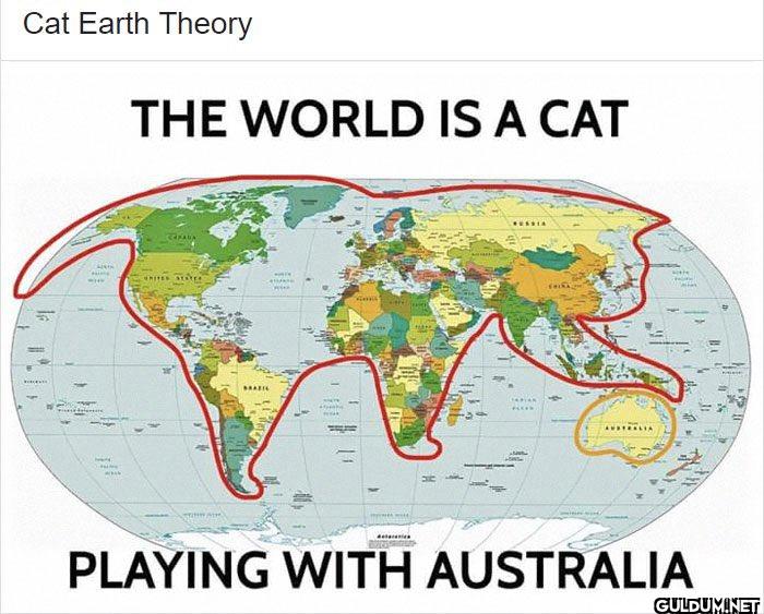 4. Cat Earth Theory    Cat...