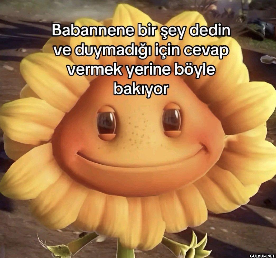 Babannene bir şey dedin ve...