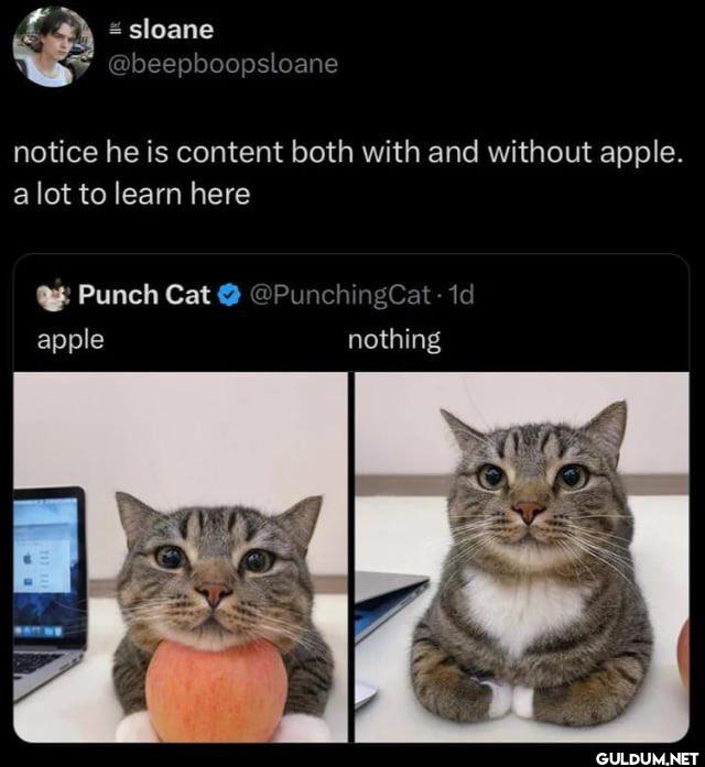 notice he is content both...