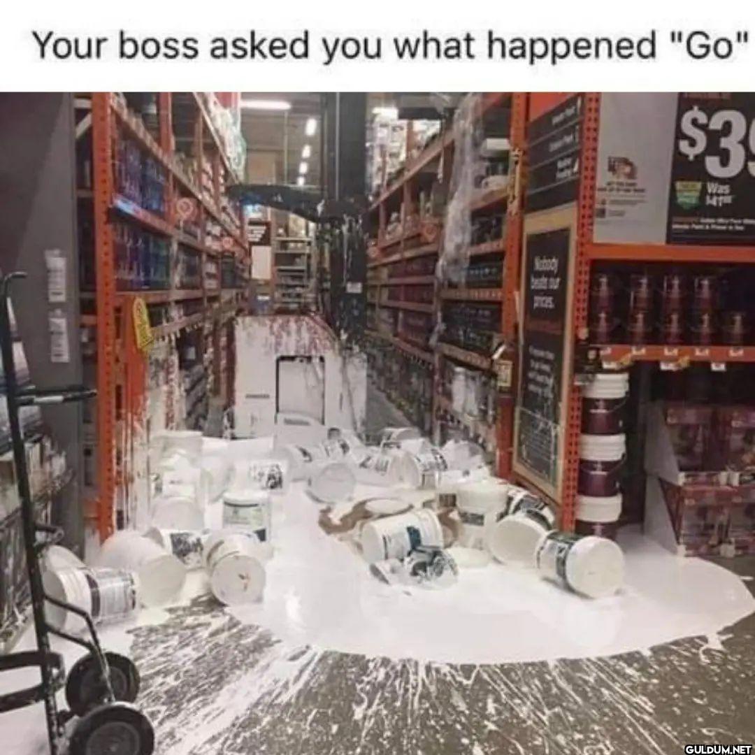 Your boss asked you what...