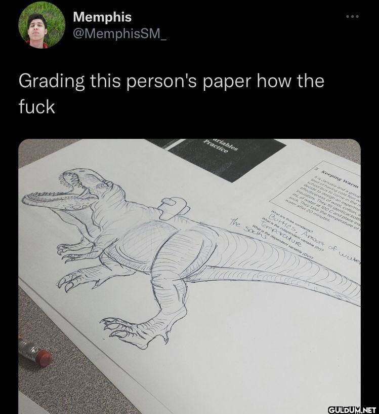 Grading this person's...