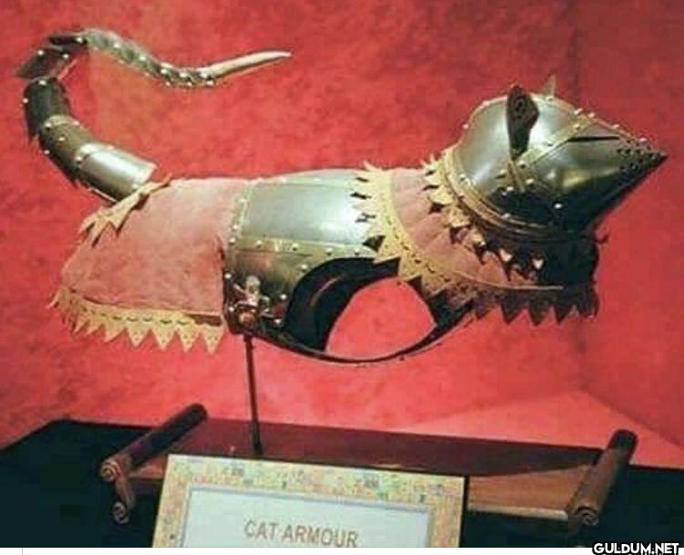 CAT ARMOUR