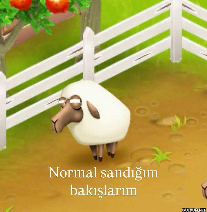 Normal sandığım bakışlarım