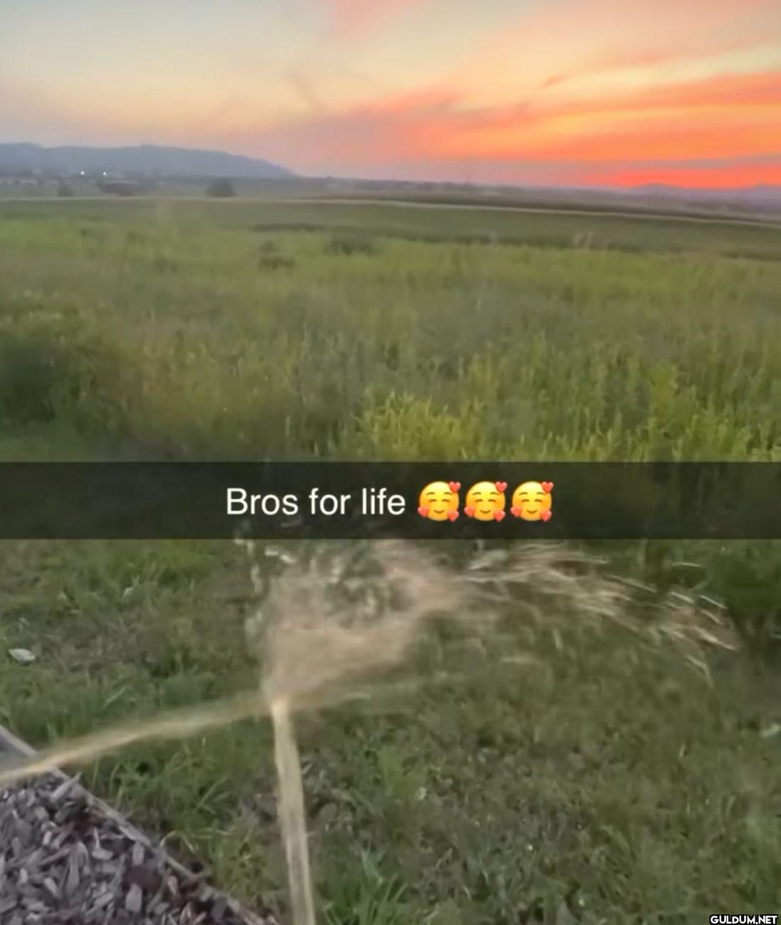 Bros for life
