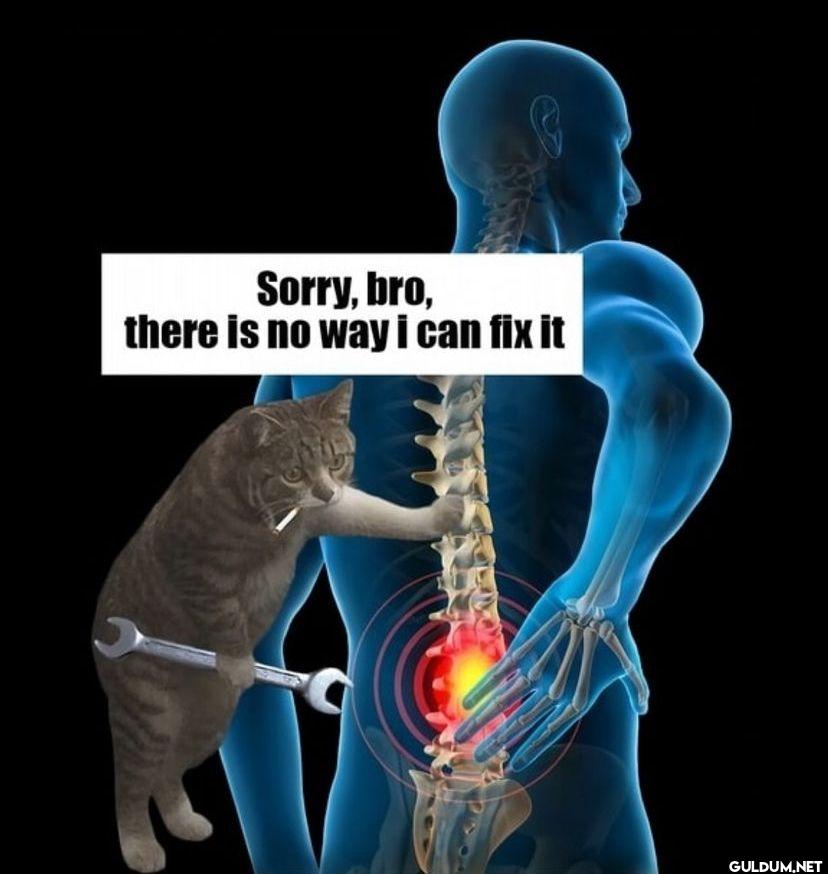 Sorry, bro, there is no...