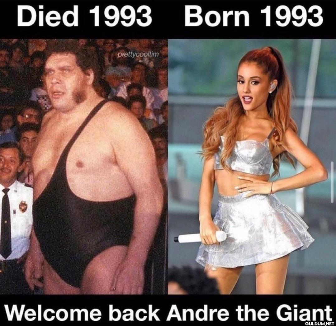 Died 1993 Born 1993...