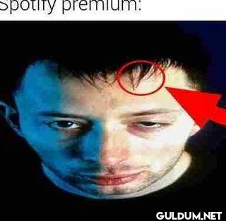spotify premium