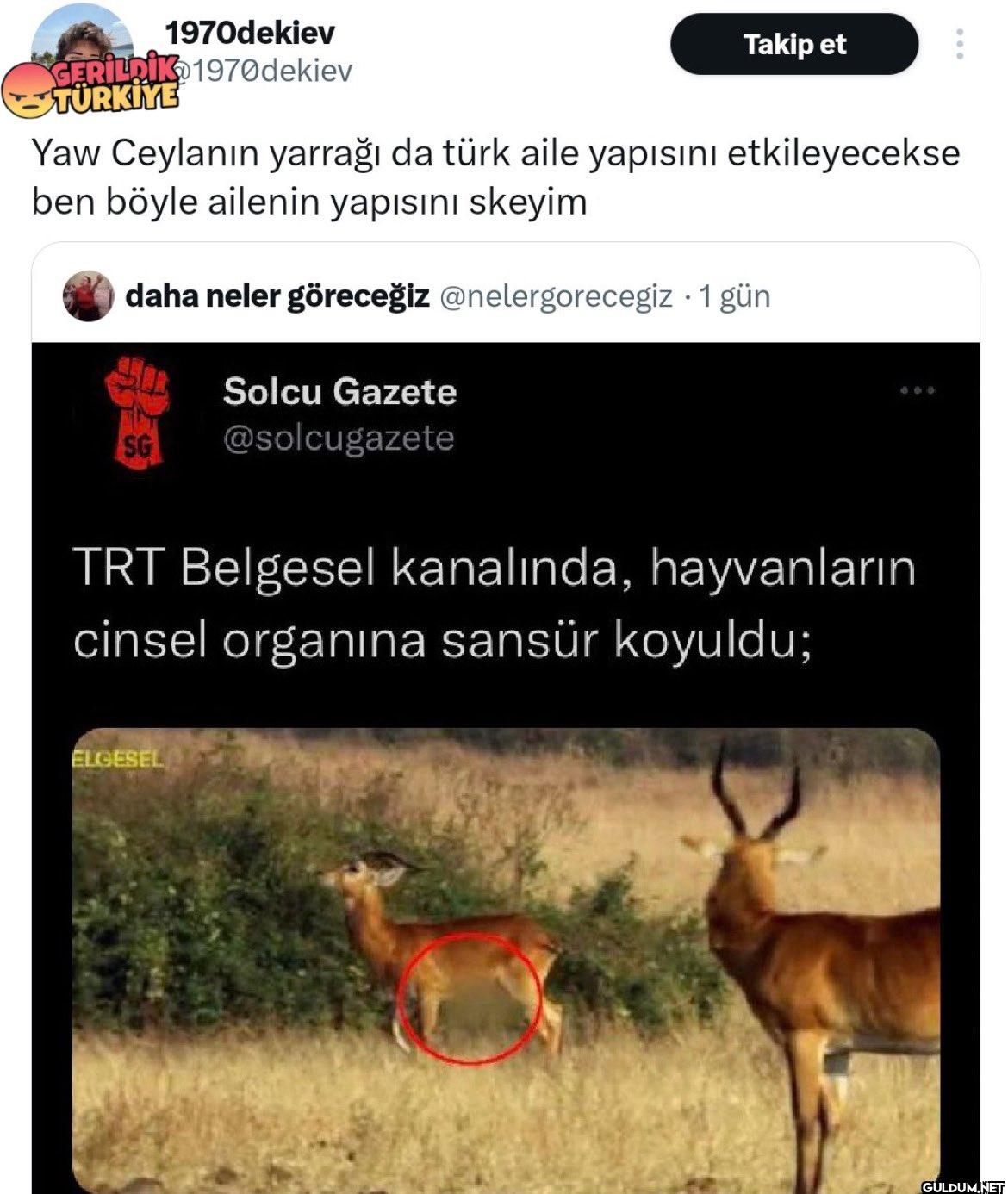 1970dekiev Takip et...