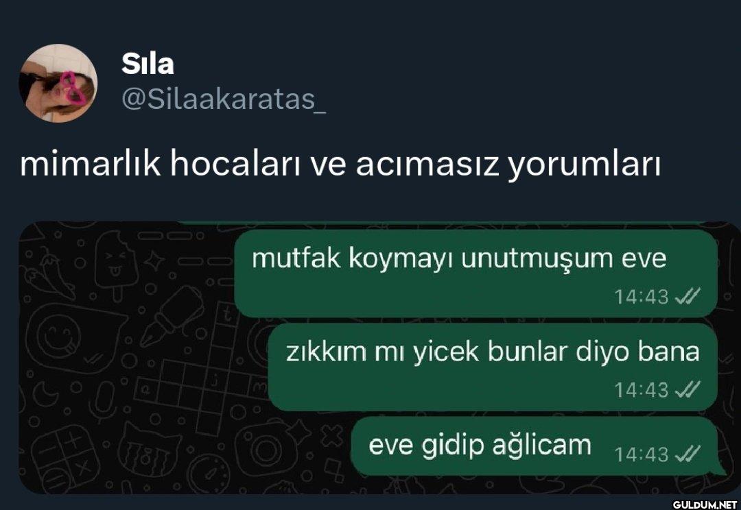 mimarlık hocaları ve...