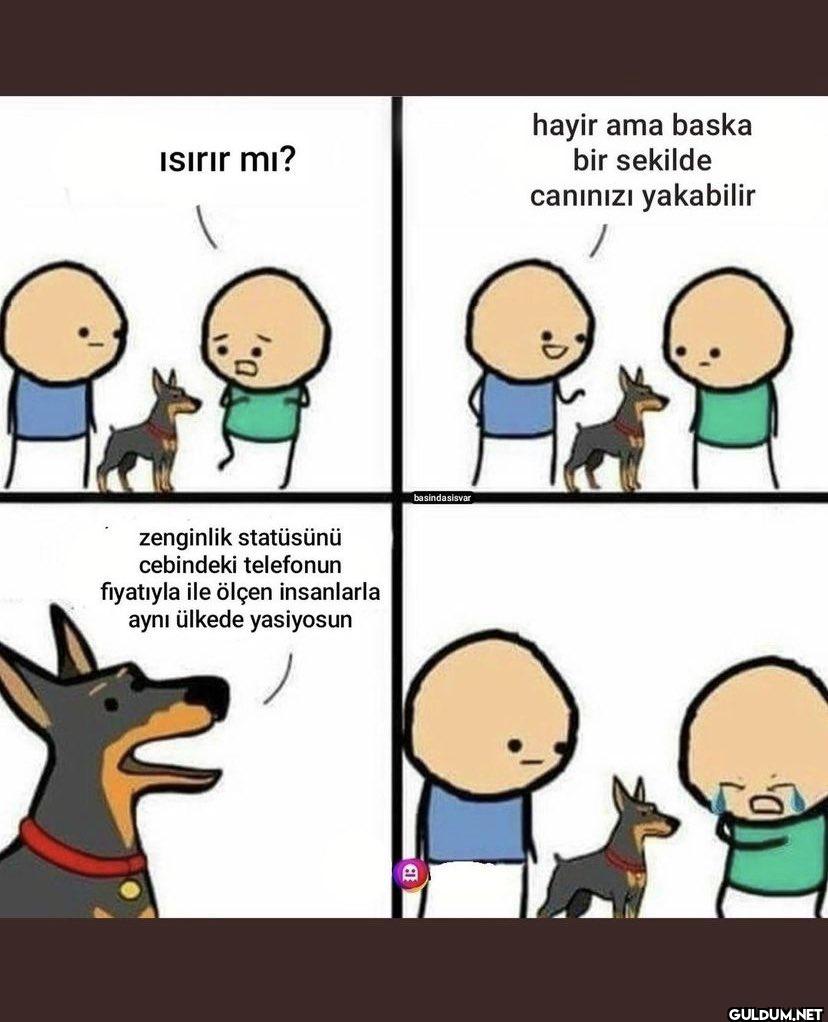 Isırır mı? zenginlik...